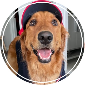 Artifcts Inspiration Series - Pets